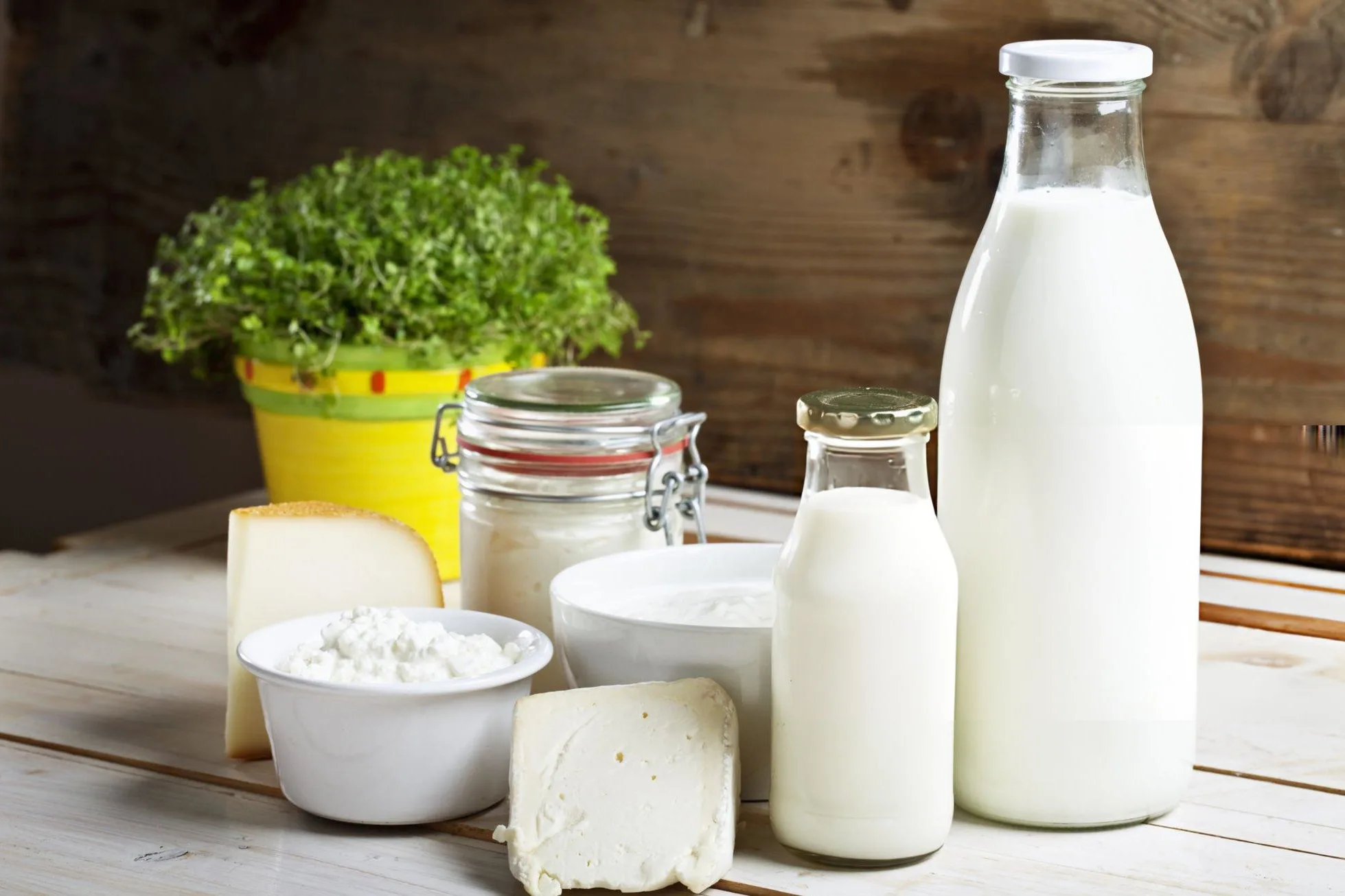 Top 10 Dairy Foods for Weight Loss and Wellness Dairy products cheese yoghurt mil